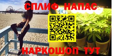 тгк Можга