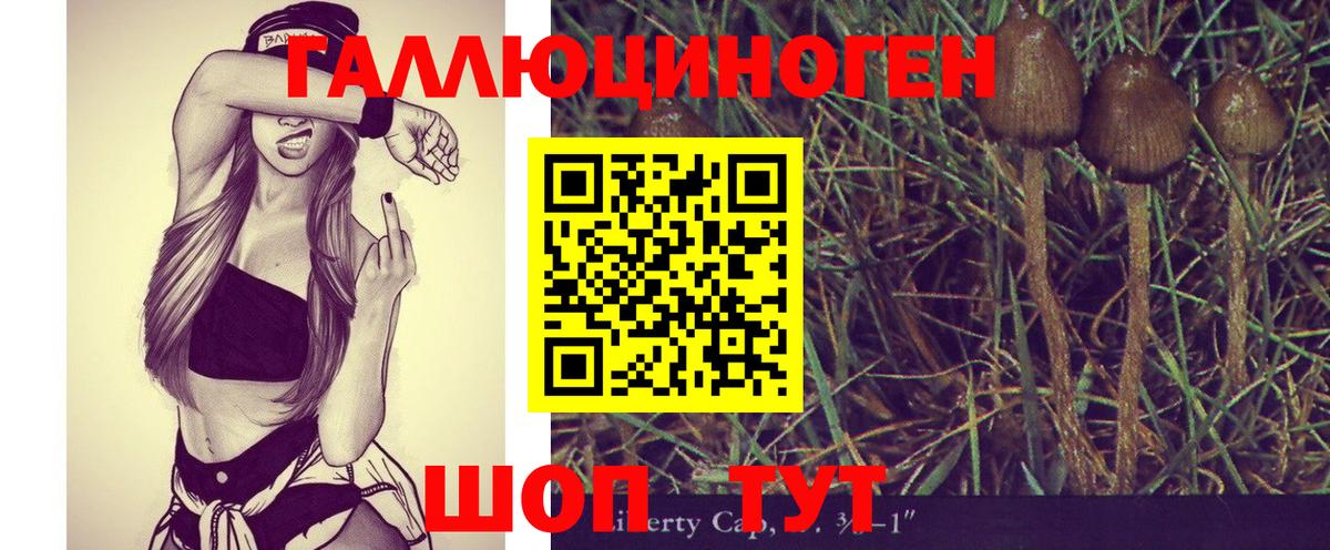 Галлюциногенные грибы Cubensis Краснотурьинск