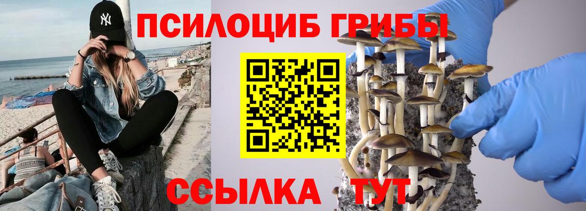 Псилоцибиновые грибы Magic Shrooms  Псилоцибиновые грибы прущие грибы  Вход с VPN  Краснотурьинск 